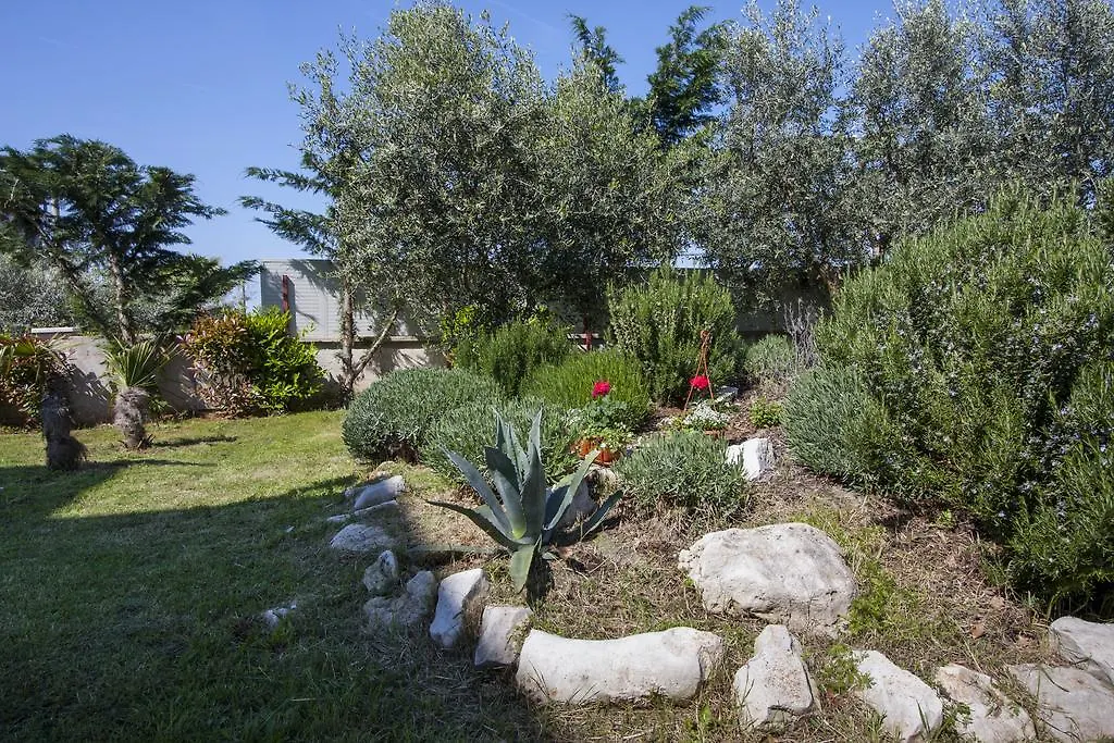 Apartments Jelena Nova Vas  Croatia